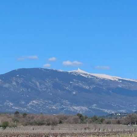 הוילה Modene Mon Ventoux מראה חיצוני תמונה